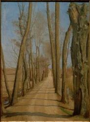 Avenue at Ydernaes. Gavnø